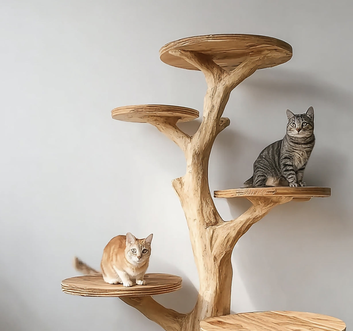 Rustic Cat Tree Bookshelf Style Pet Stand Living Room
