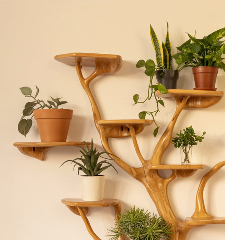 Tree Branch Wall Shelf – Solid Wood Floating Bookcase & Driftwood Décor